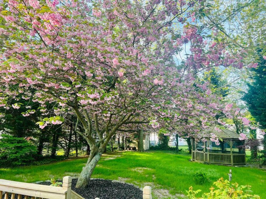 Cozy Getaway - 5 Min Drive To Beach Cape May Buitenkant foto